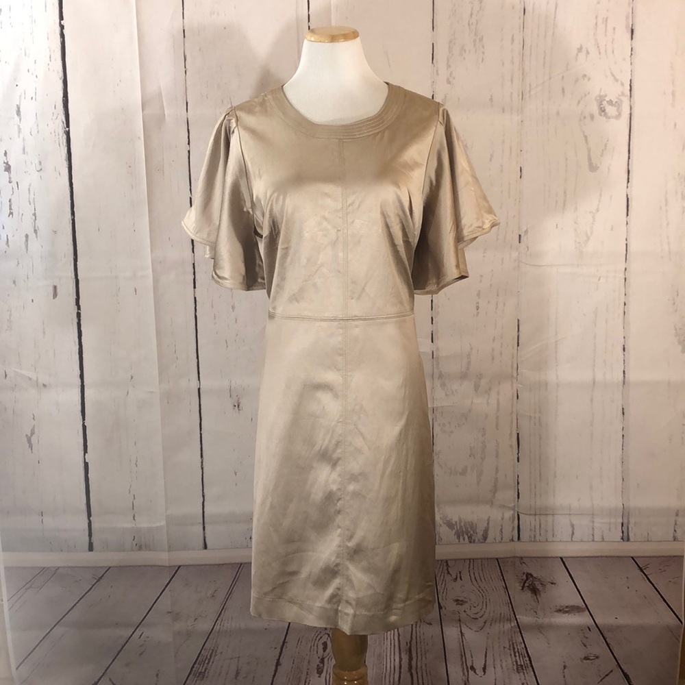 Golden Beige Seamed Flute Dress NWT